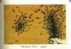 1.Salvador Dali. The Ants. 1929.jpg